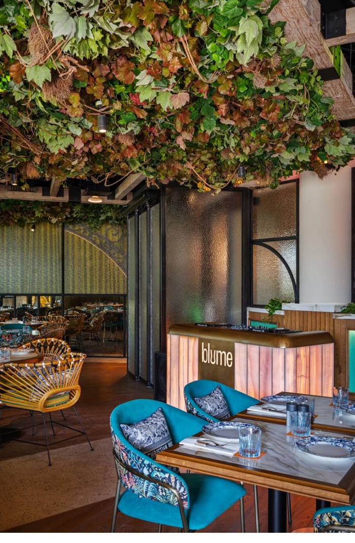 Blume Marina gallery